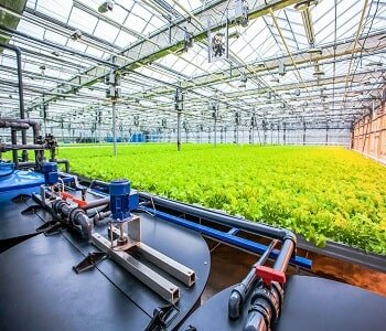 Строительство промышленных теплиц Строительство промышленных теплиц